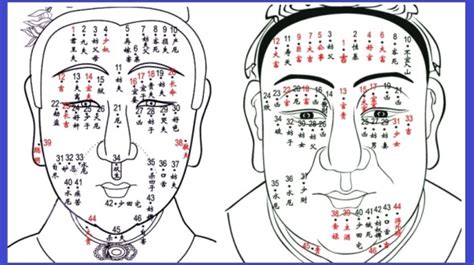 臉上為什麼會長痣